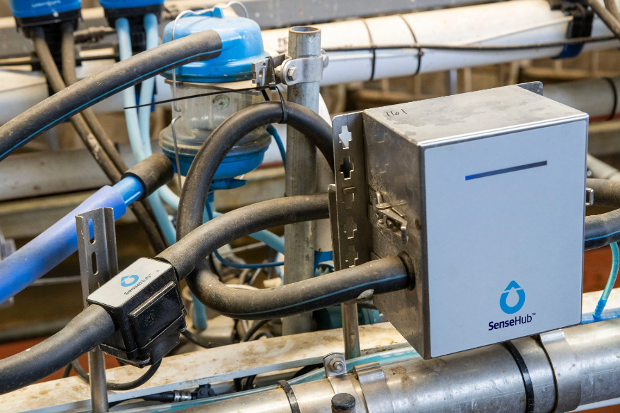 SenseHub® Dairy milk sensors for Herringbone milking sheds