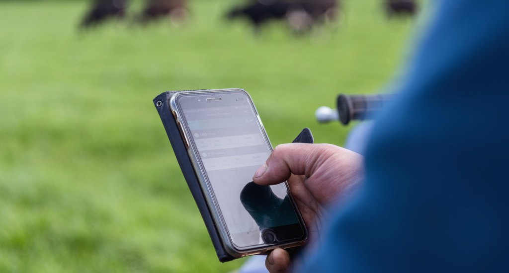 Collars deliver on ROI