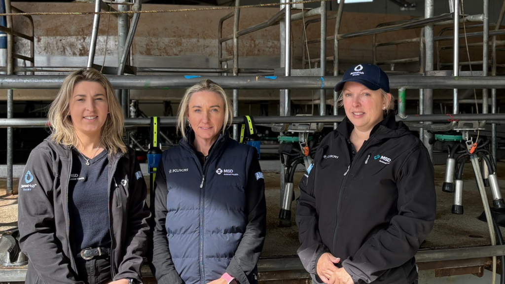 Meet the new Mid Canterbury SenseHub Dairy Team