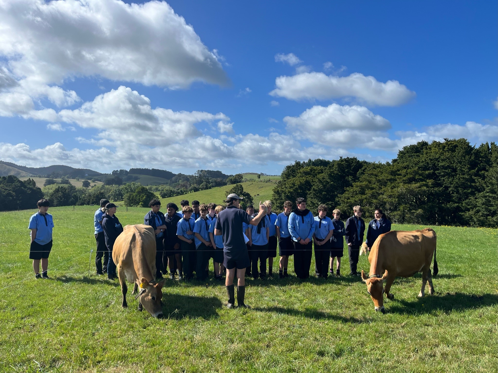 Harnessing smart technology at Donald’s Farm – how collars are helping drive smarter farming decisions